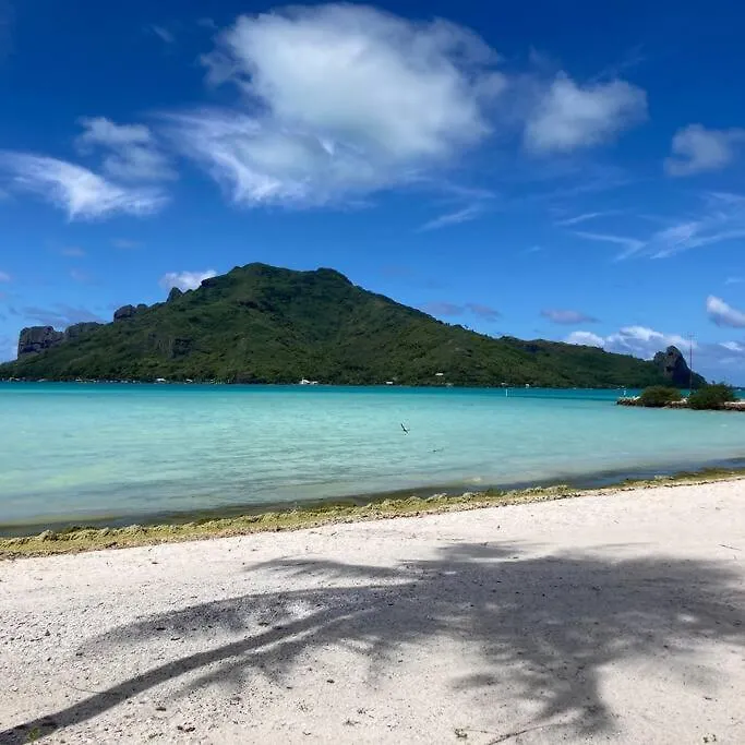 Tahitian Villa Avec Acces Mer Prive A 300 M Punaauia  0*, Punaauia (Tahiti)